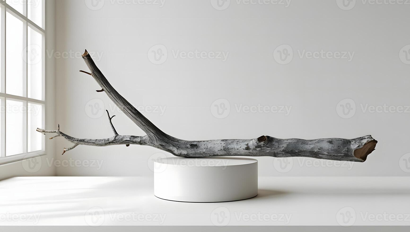 Natural weathered driftwood branch displayed on a minimalist white pedestal against a bright window background photo