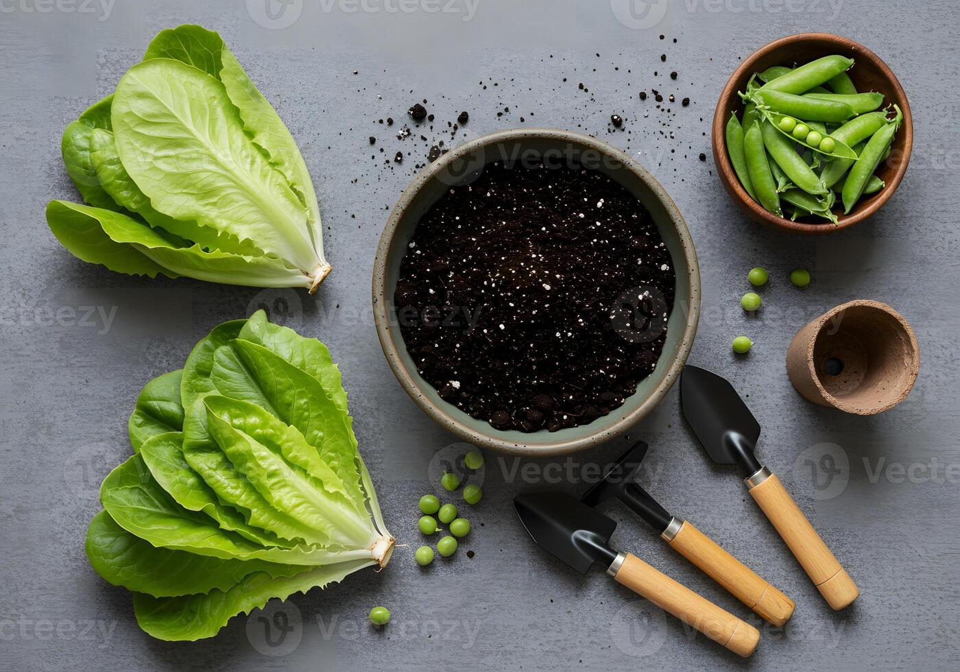 Gardening supplies and fresh vegetables including lettuce peas and potting soil for planting photo