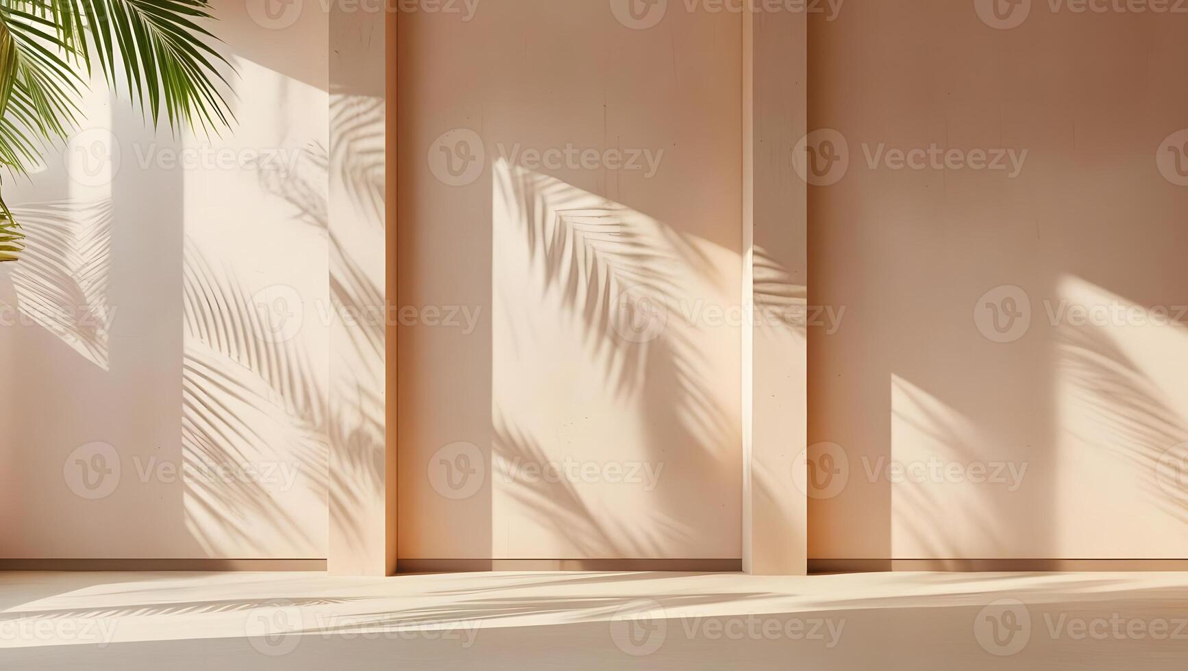 Warm sunlight casts palm leaf shadows on a minimalist peach wall and floor photo