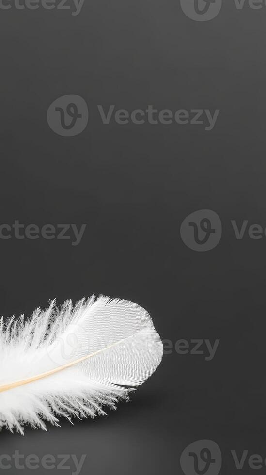 A single, pristine white feather rests delicately on a deep, dark background, evoking a sense of purity, tranquility, and minimalist elegance. photo