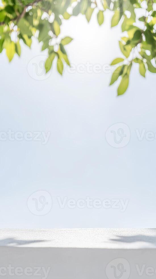 Lush green leaves frame a bright, clear sky, casting gentle shadows on a pristine white surface, perfect for product display or serene natural backgrounds. photo