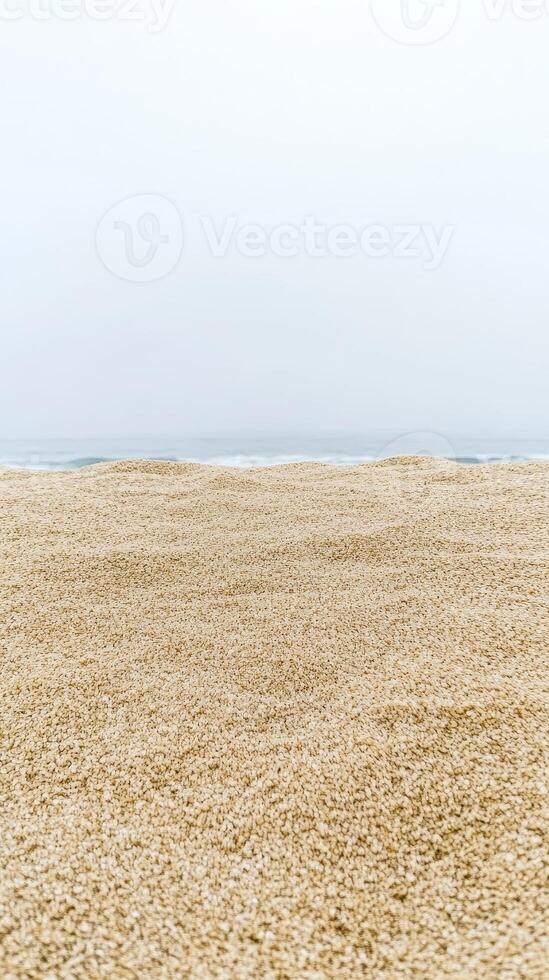Serene Coastal Vista Golden Sands Meet the Gentle Ocean Waves Under a Soft, Overcast Sky, Evoking Tranquility and Natural Beauty. photo