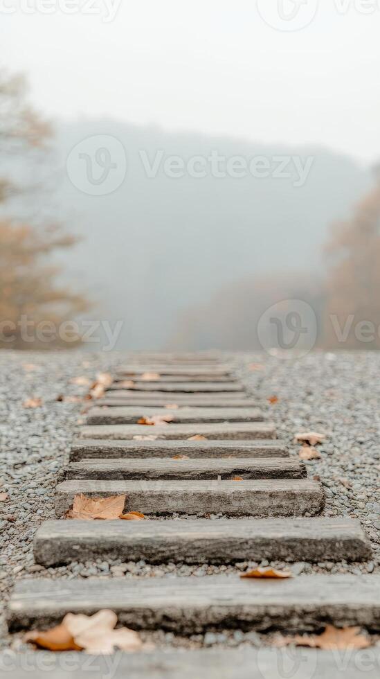 Autumnal Path through Misty Woods Serene Wooden Steps on Gravel, Adorned with Fallen Leaves, Guiding into a Hazy Forest Landscape photo