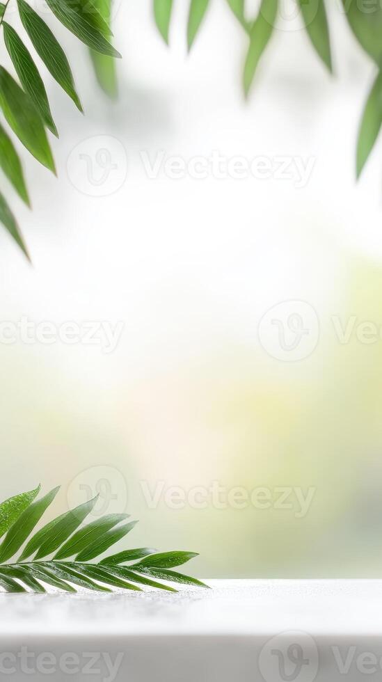 Vibrant green palm leaves frame a serene, bright background with ample copy space, perfect for natural product display, wellness themes, or a refreshing design. photo
