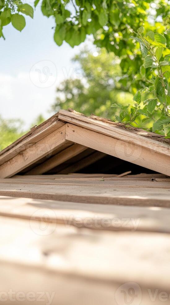 Captivating close-up of a rustic wooden roof structure bathed in natural sunlight, framed by lush green foliage and a serene sky, evoking tranquility and natural craftsmanship. photo