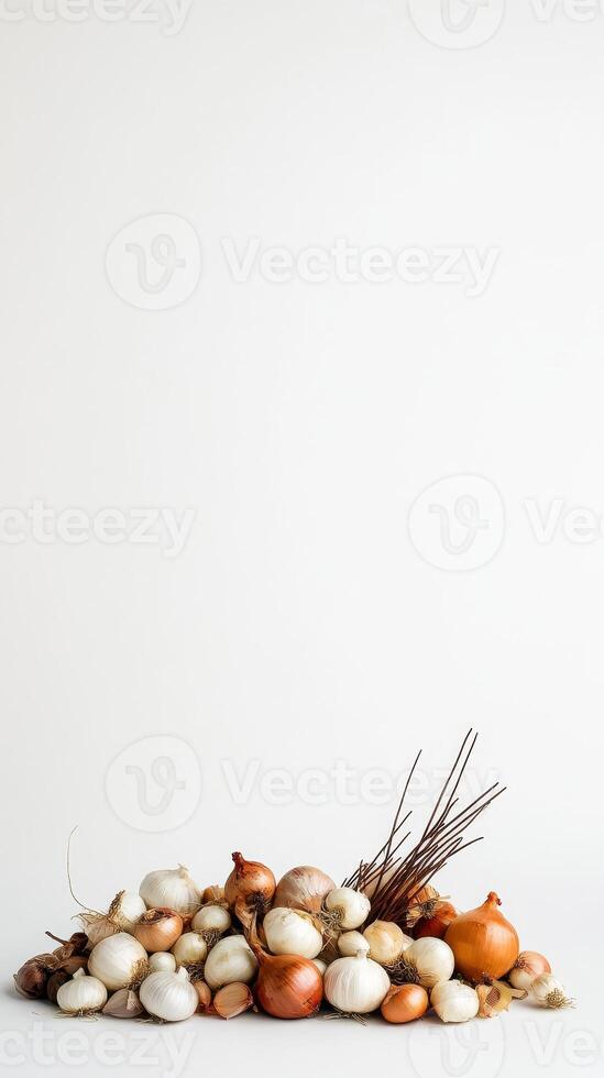 A vibrant still life composition of fresh, organic onions and garlic bulbs, a bountiful harvest arranged on a pristine white backdrop. photo