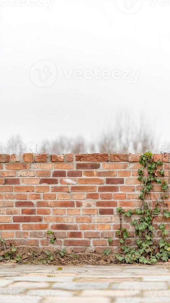 Textured red brick wall with lush green ivy, a timeless fusion of enduring architecture and vibrant natural growth, creating a captivating rustic backdrop. photo