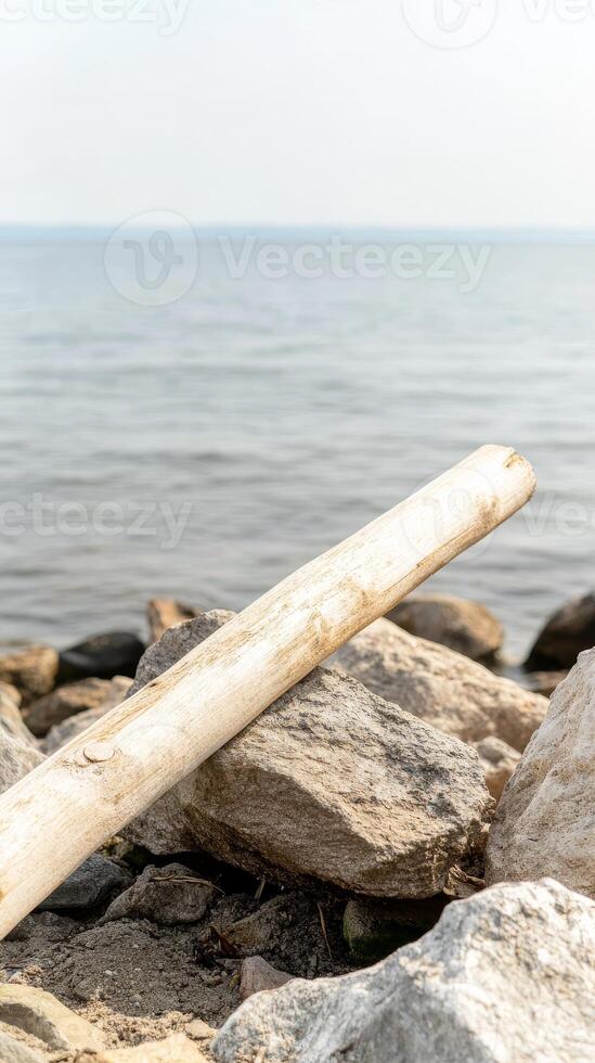 Weathered Driftwood and Ancient Rocks on a Serene Coastal Shoreline, with Calm Waters Stretching to the Horizon photo