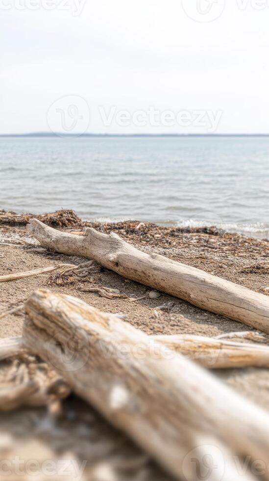 Serene Coastal Landscape with Weathered Driftwood on a Sandy Beach Shoreline. Natural Beauty and Tranquility by the Water's Edge. photo
