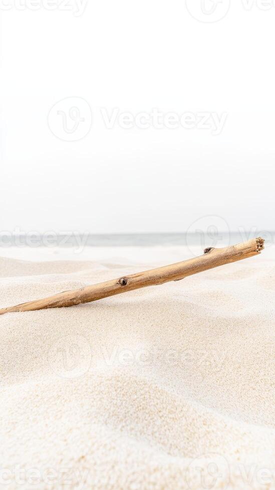 Minimalist Composition of Weathered Driftwood Resting on White Sand, Overlooking a Tranquil Ocean Horizon on a Bright, Calm Day photo