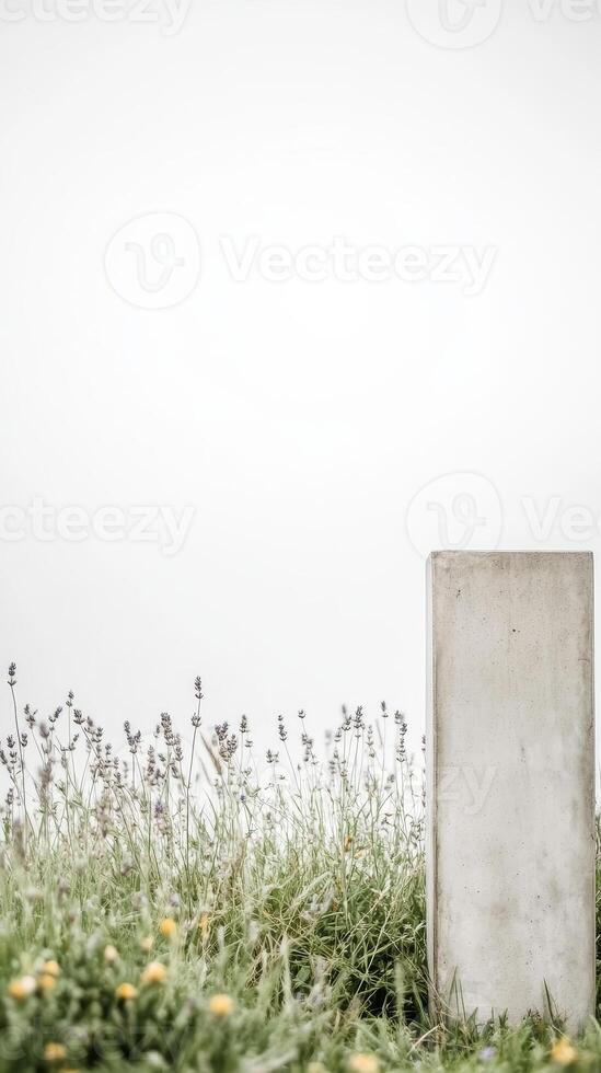 Minimalist Harmony Concrete Structure Amidst a Serene Lavender Field, Evoking Calm and Natural Beauty with Modern Architectural Lines. photo