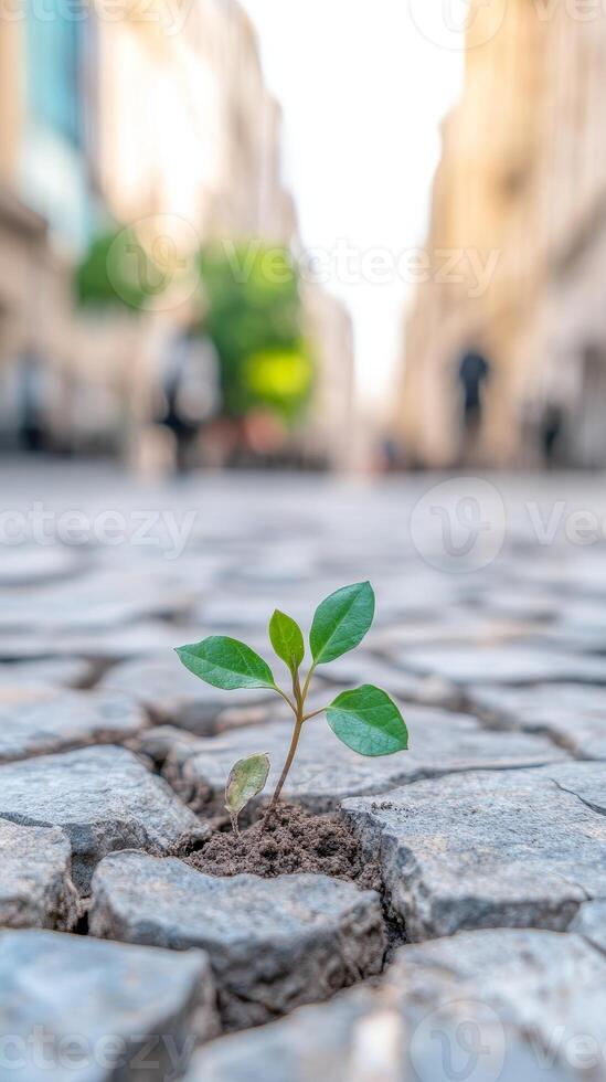 A resilient green sprout emerges from cracked urban pavement, symbolizing new beginnings, hope, and life's enduring power in challenging environments. photo