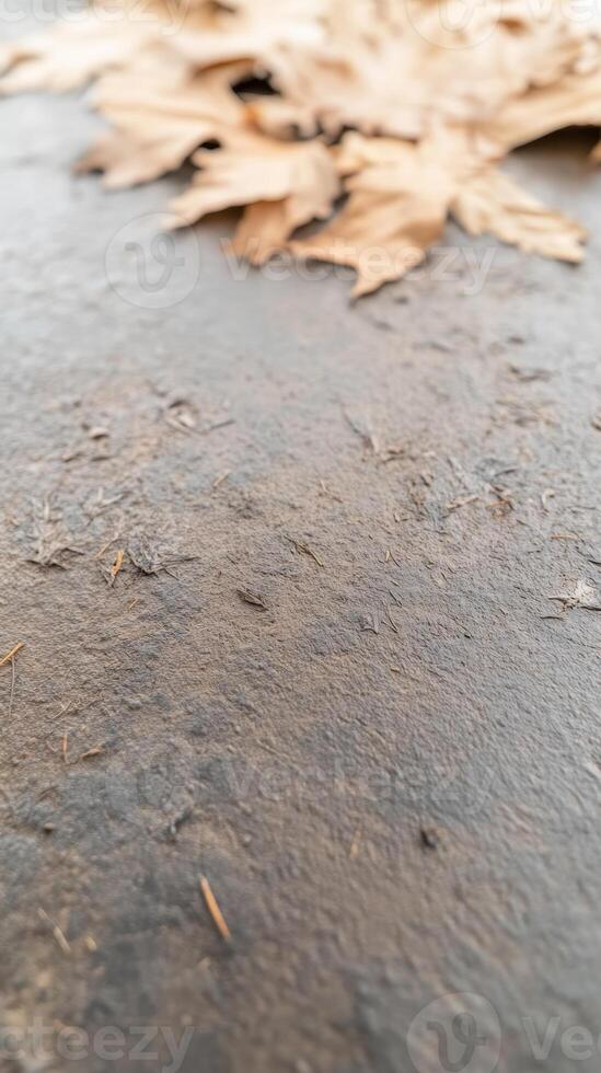 Autumn's Embrace Detailed Close-Up of Dry Fallen Leaves on a Textured Ground, Evoking Seasonal Change and Natural Beauty. photo