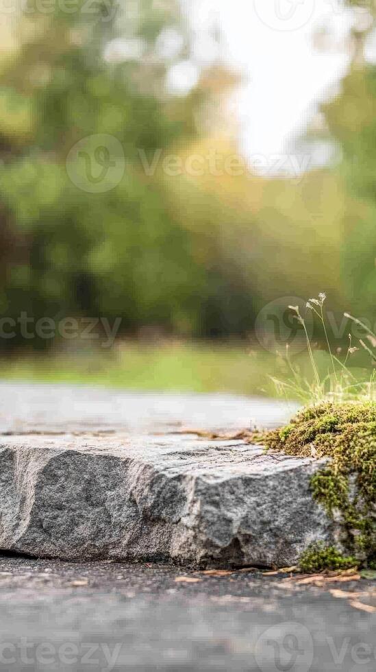 Textured Stone Surface with Vibrant Moss and Delicate Grass, Set Against a Softly Blurred Green Natural Background photo