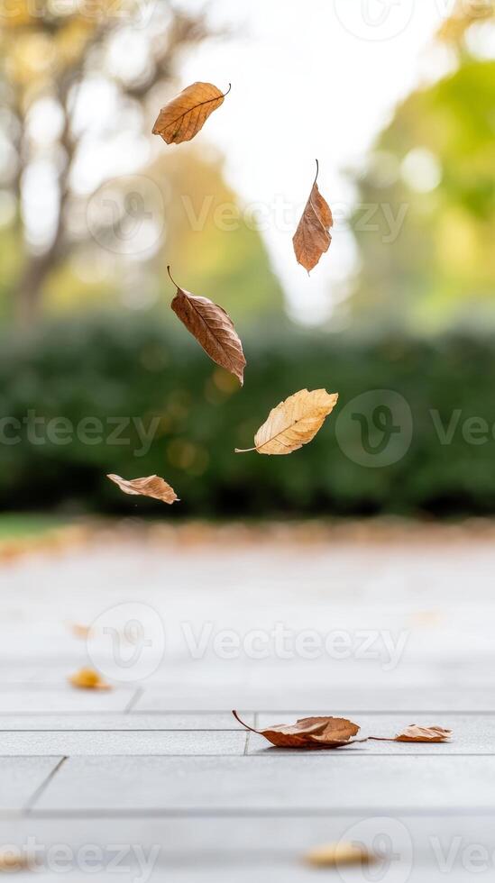 Golden Autumn Leaves Gracefully Descending A Serene Display of Nature's Transition, Capturing the Ephemeral Beauty of the Fall Season Outdoors photo