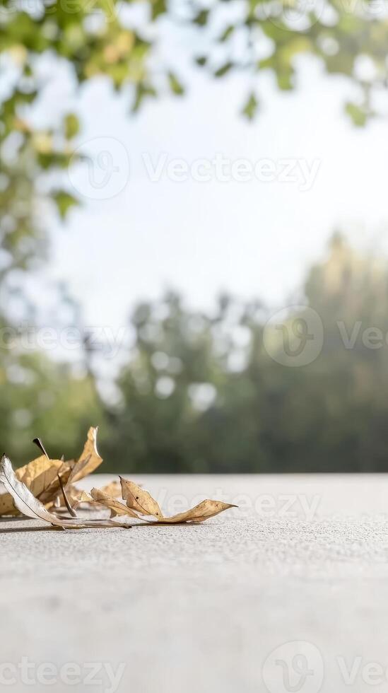 Golden Autumn Leaves Resting on Textured Ground A Serene Close-up of Nature's Seasonal Transition and Tranquil Beauty in Soft Sunlight photo