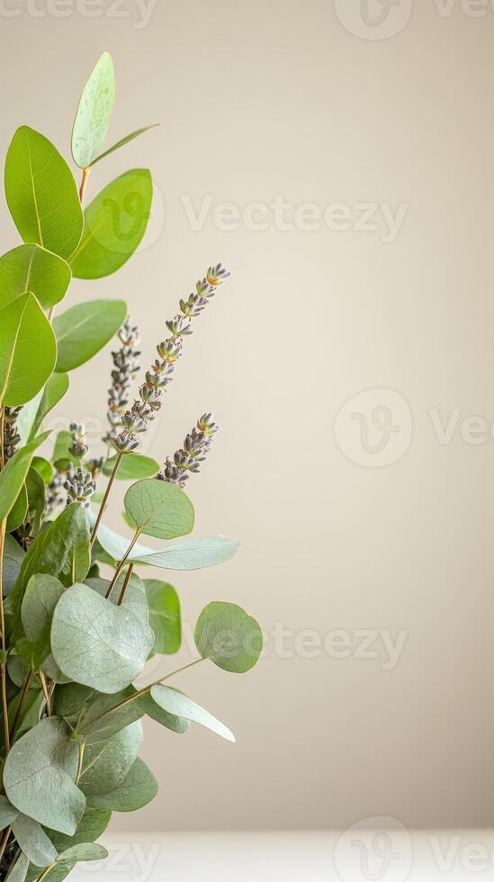 Elegant Eucalyptus and Lavender Sprigs on a Serene Background A Botanical Study of Fresh Green Foliage and Delicate Purple Blooms for Natural Decor and Wellness photo