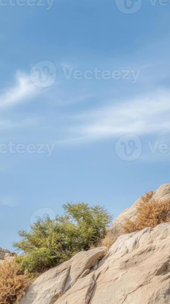 Vast Blue Sky Arching Over Arid Desert Landscape with Rugged Rock Formations and Resilient Green Foliage photo