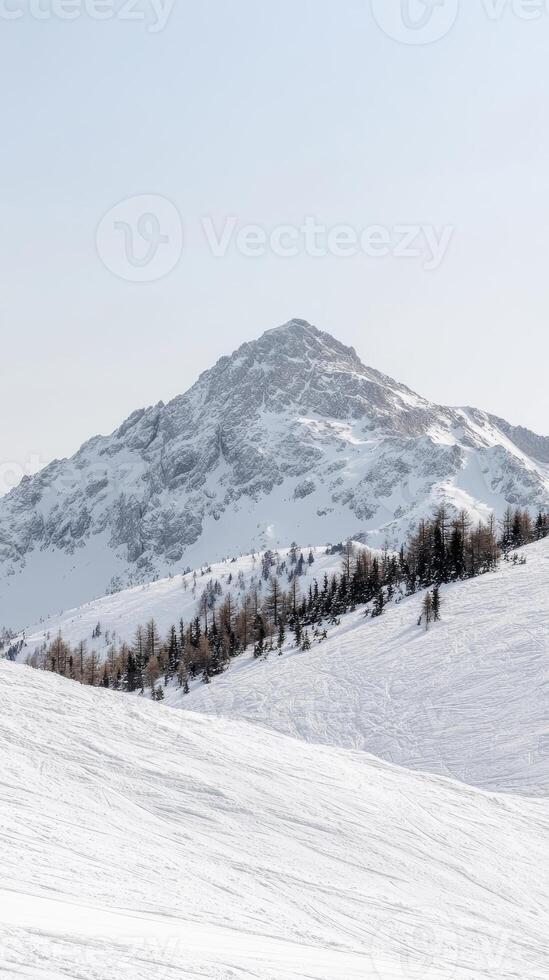 Majestic snow-covered mountain peak rising above pristine white ski slopes and a line of evergreen trees under a clear winter sky, capturing the serene beauty of an alpine landscape. photo