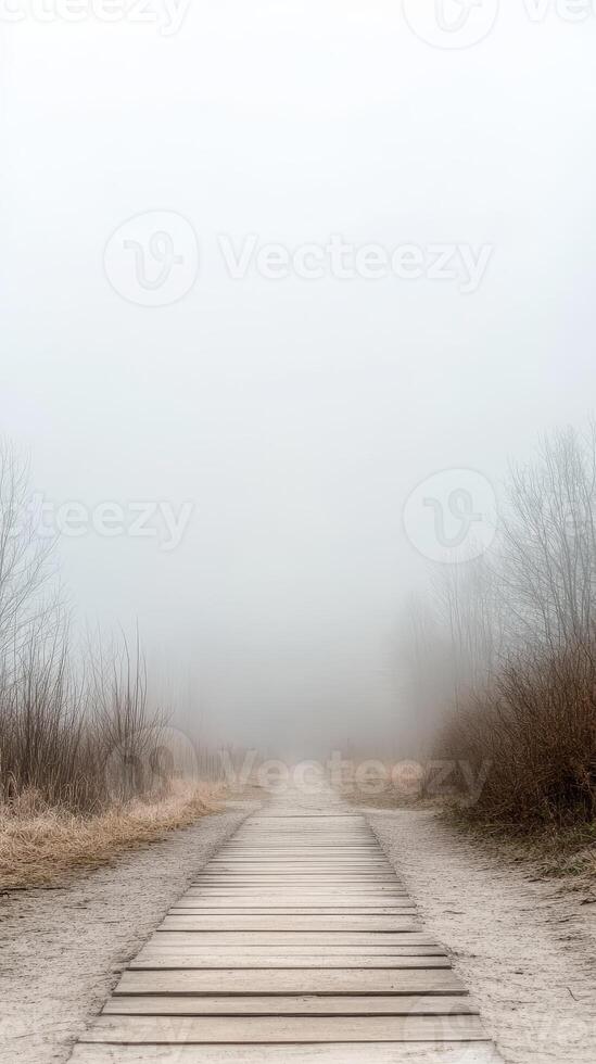 Serene Foggy Path Wooden Boardwalk Fades into a Mysterious, Misty Landscape with Bare Trees, Evoking Calm and Solitude. photo
