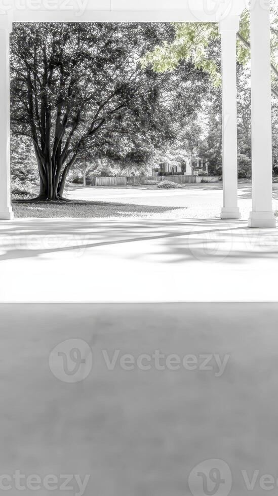 Elegant Porch View Serene Grayscale Landscape with Lush Tree and Distant Home. Peaceful Outdoor Scene with Architectural Columns and Natural Light. photo