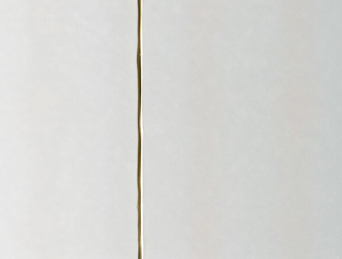 Elegant Minimalist Background OffWhite Texture with Gold Line Divider Perfect for Website Design Branding and Presentation Templates photo