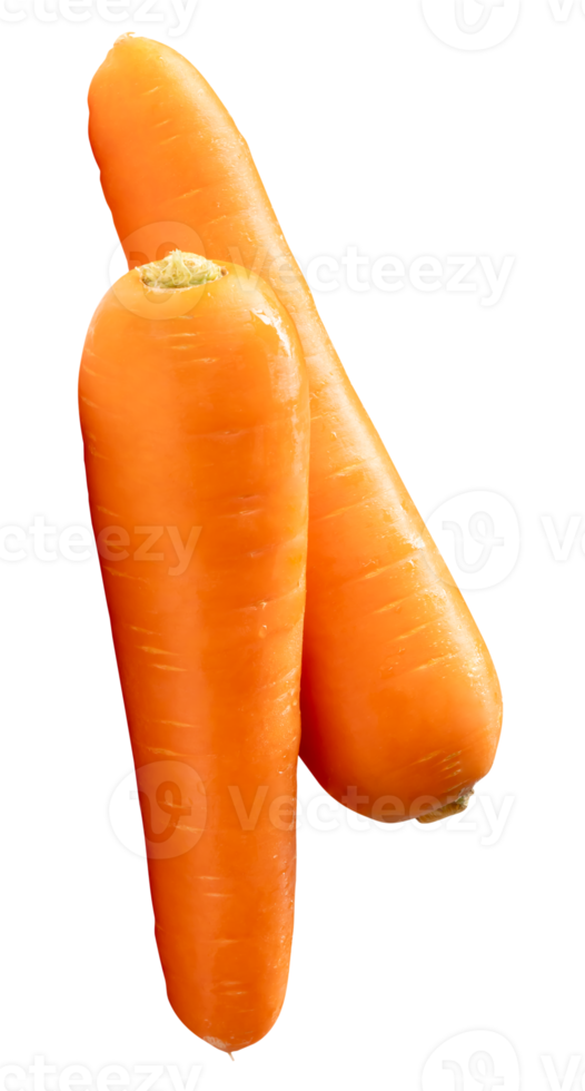 Two fresh orange carrot roots in stack isolated with clipping path in file format png