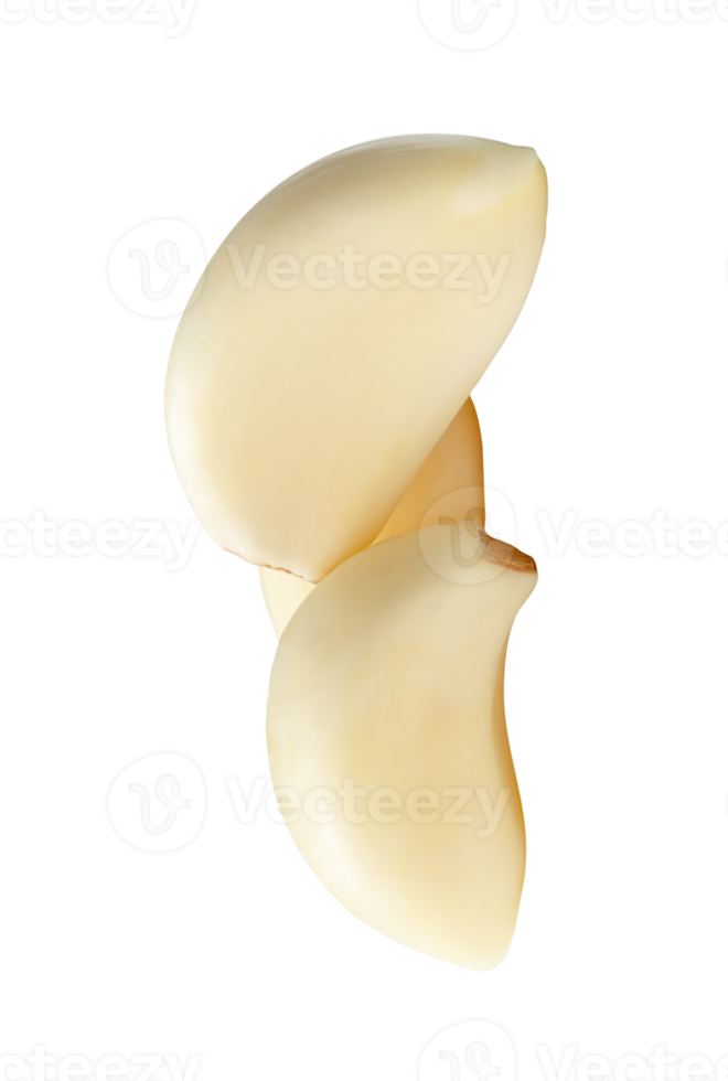 Three white peeled garlic cloves or pieces in stack isolated with clipping path in file format png