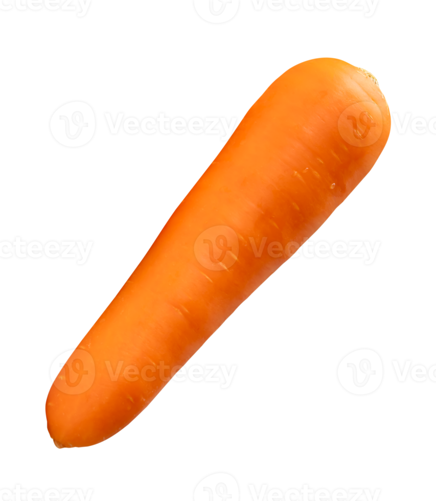Side view of one fresh orange carrot root isolated with clipping path in file format png