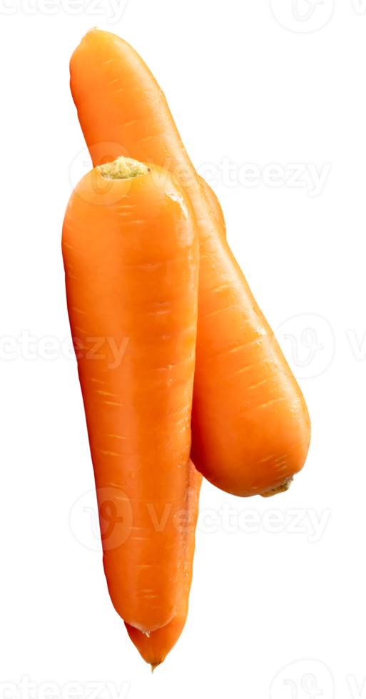 Three orange carrot roots in stack isolated with clipping path in file format png
