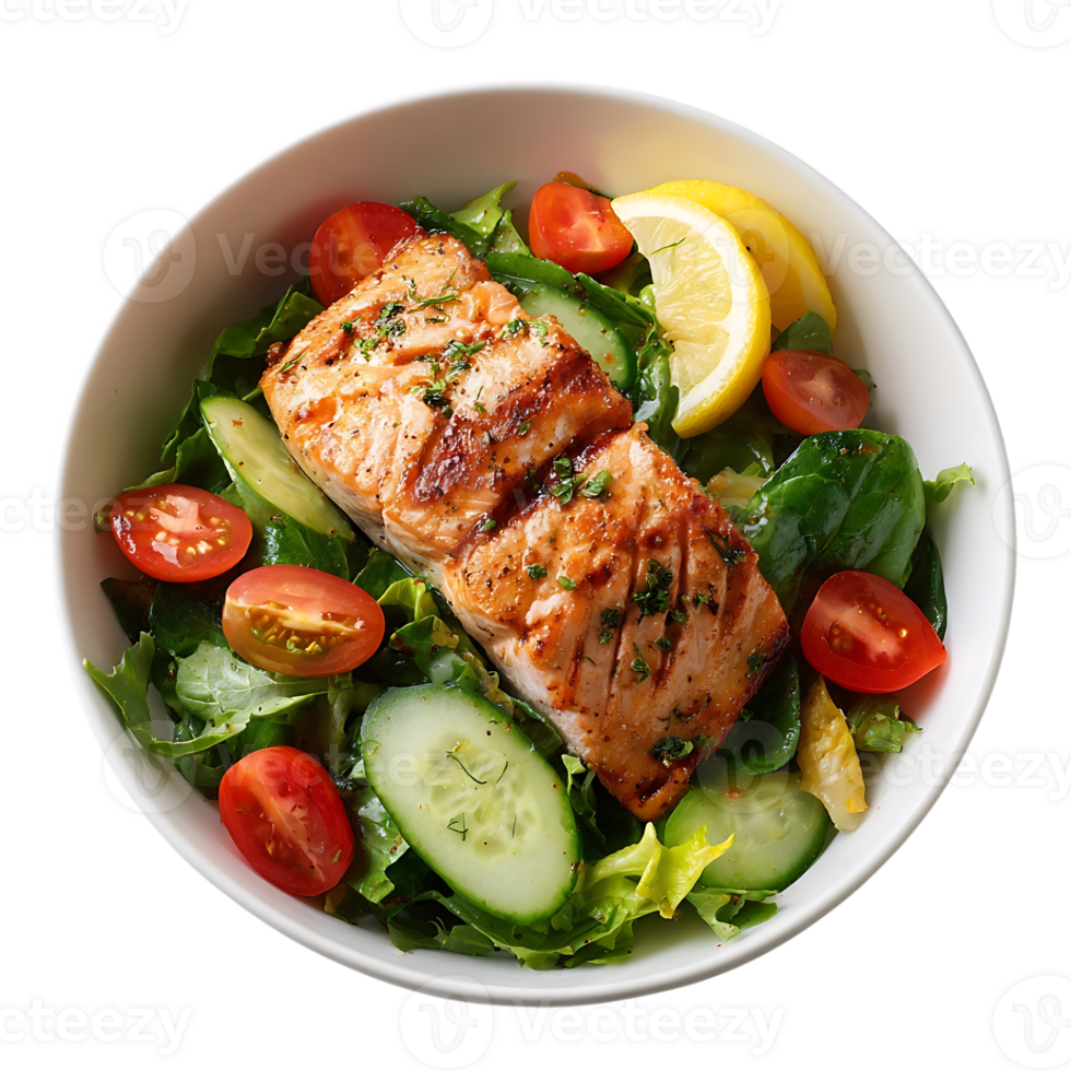 Grilled salmon salad with cucumbers tomatoes and lemon png