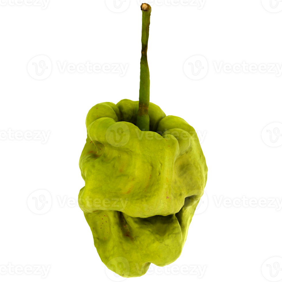 3d render ugly green pepper vegetable organic realistic wrinkled produce with transparent background png