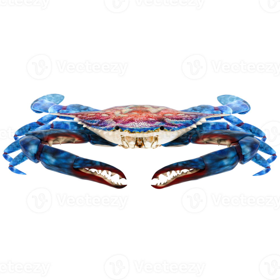 Render blue crab claw open with transparent background png