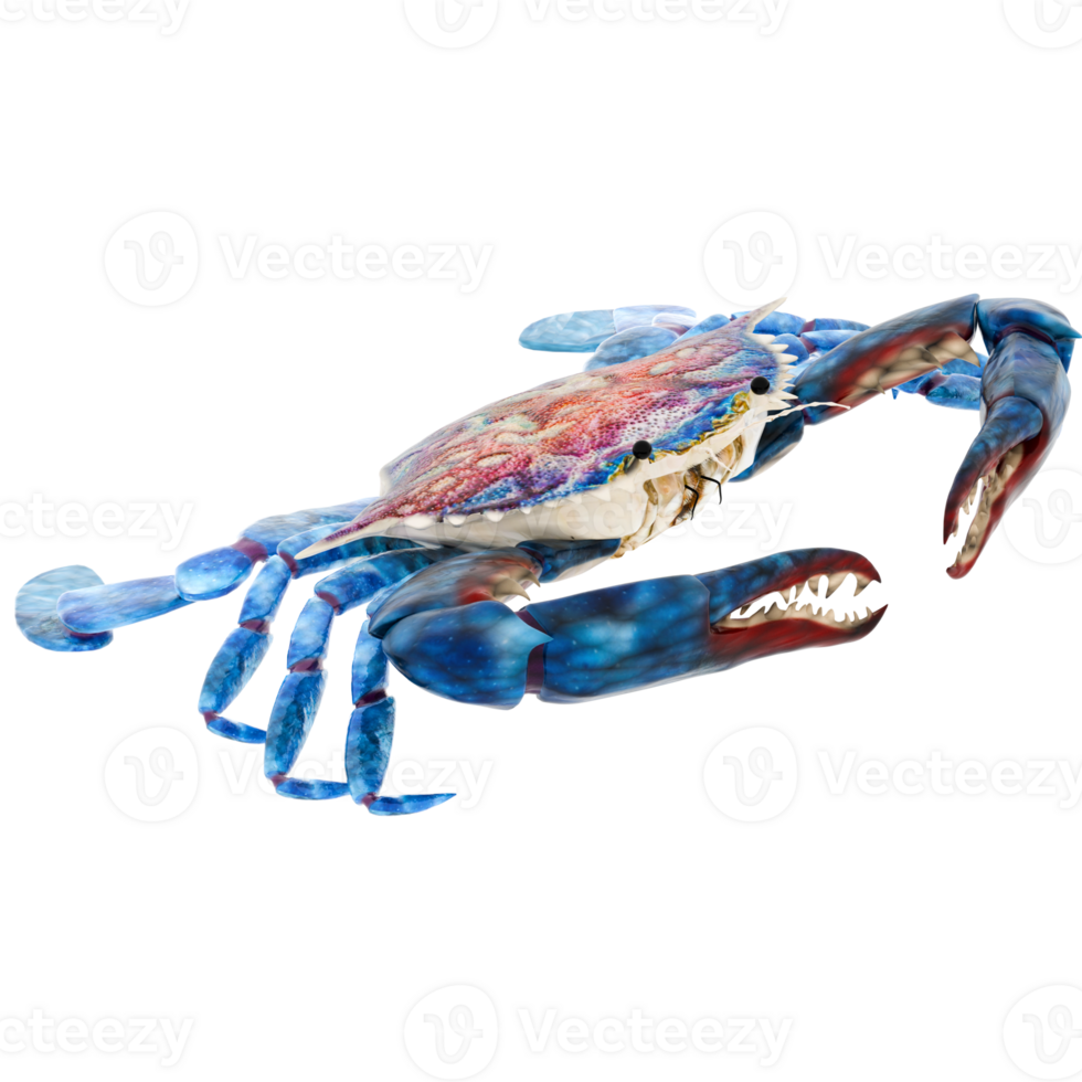 3d render blue crab claw open with transparent background png
