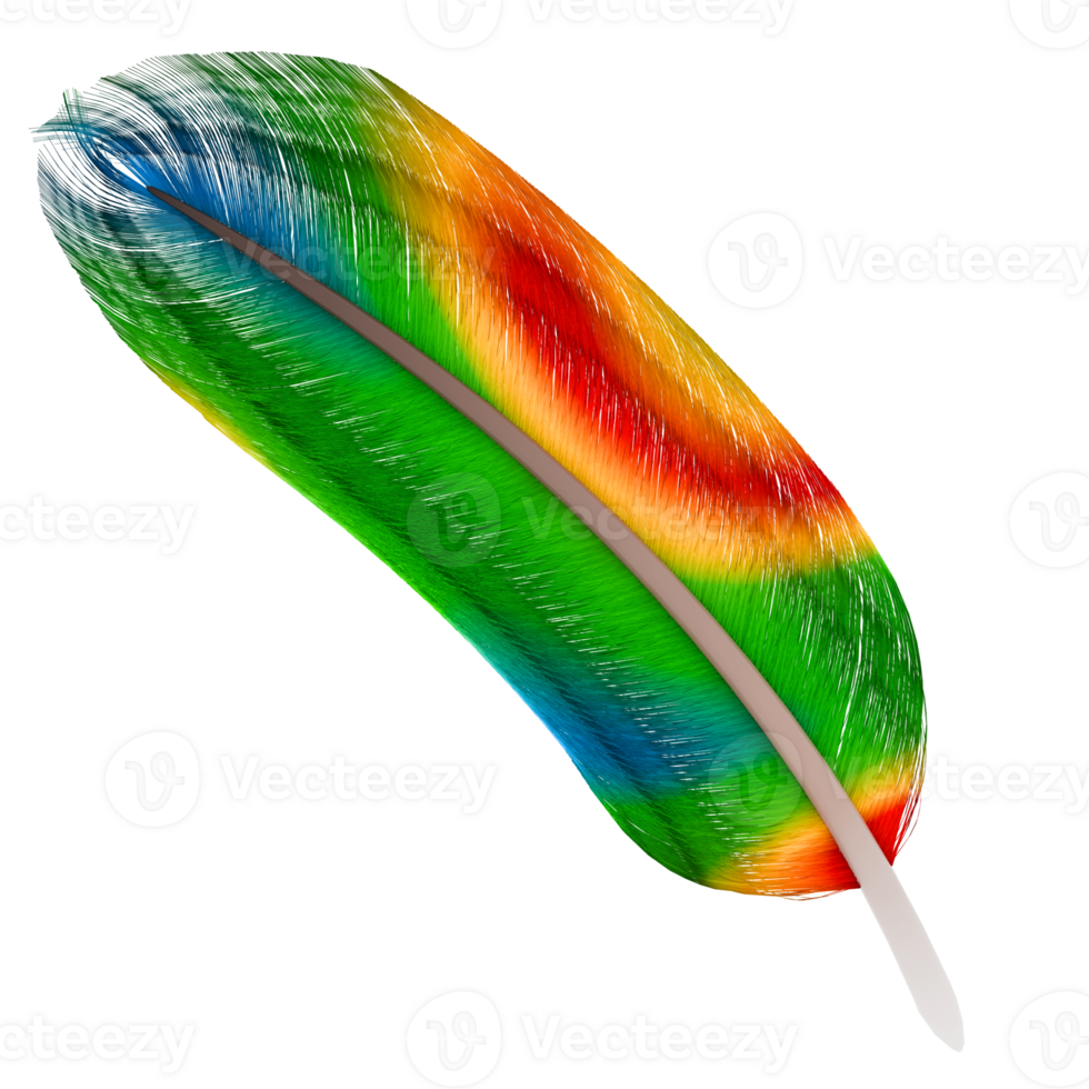 3d render rainbow bird feather with transparent background png