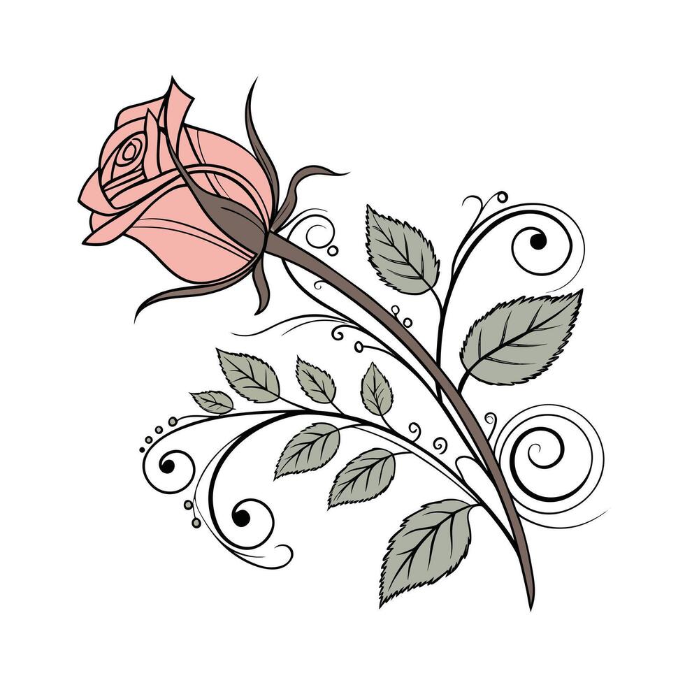 Pink rose with green leaves decorative swirls flower vector