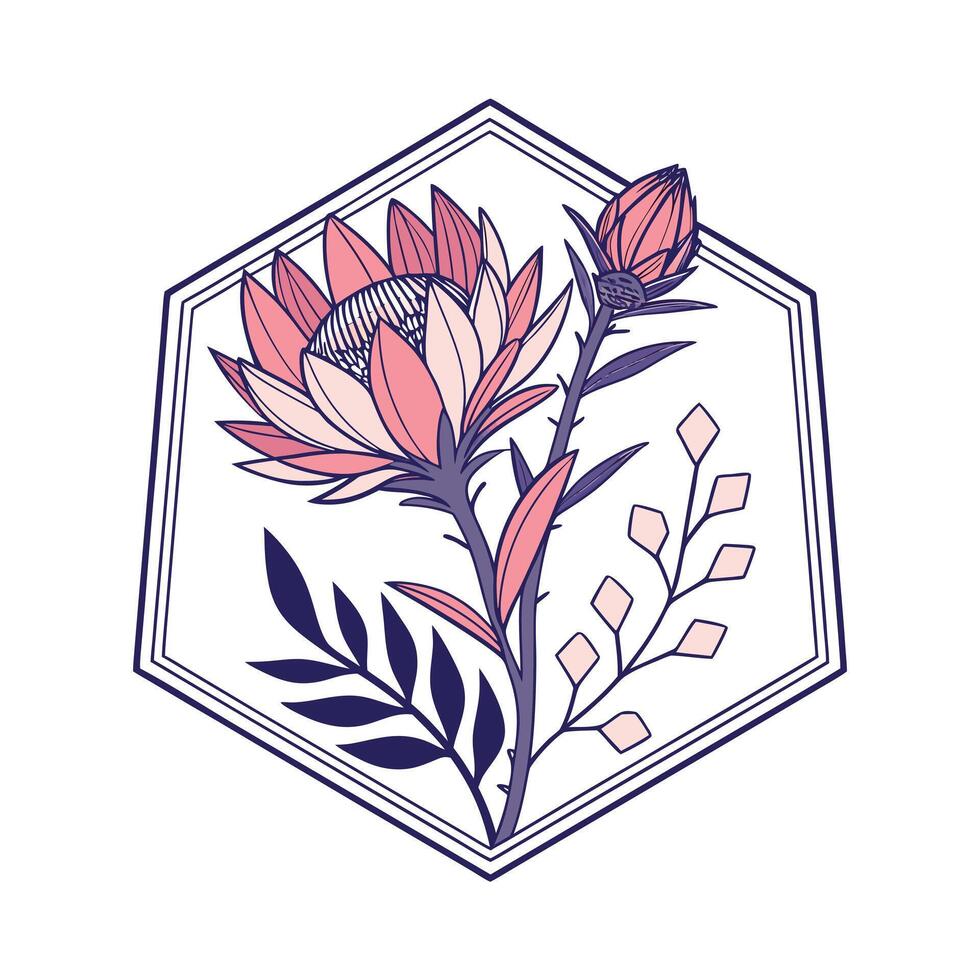 Pink protea flower bud within hexagonal frame purple vector
