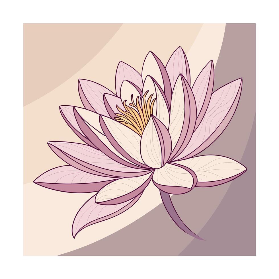 Delicate pink water lily with yellow center on muted flower vector