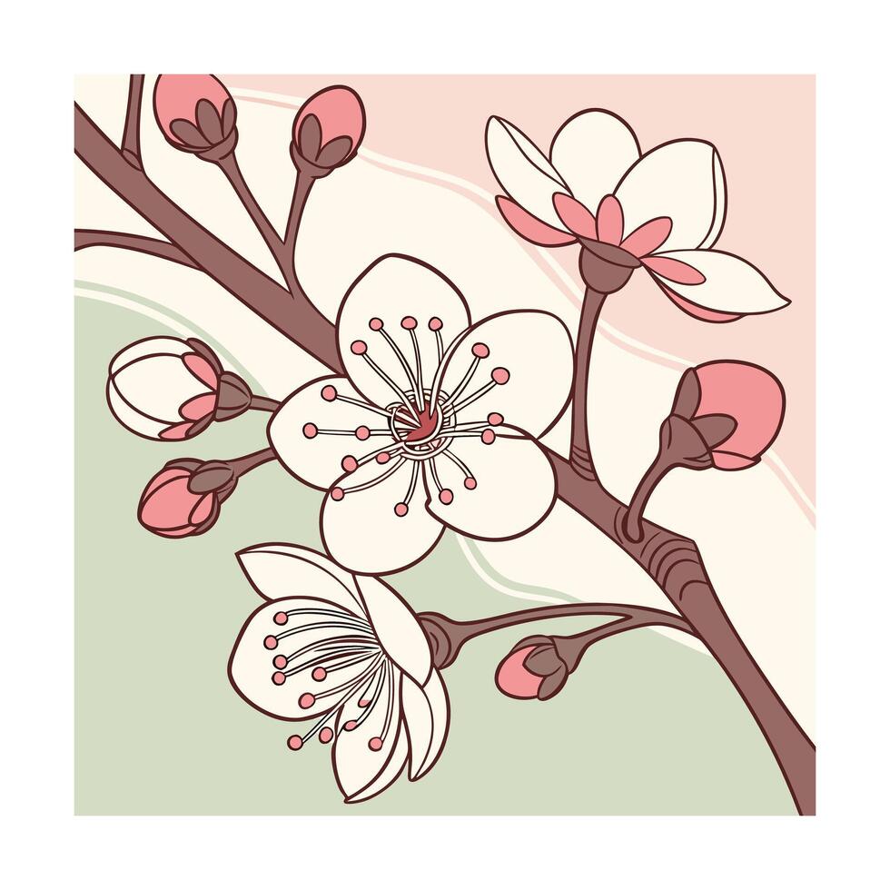 Delicate pink cherry blossom flowers on a brown branch vector
