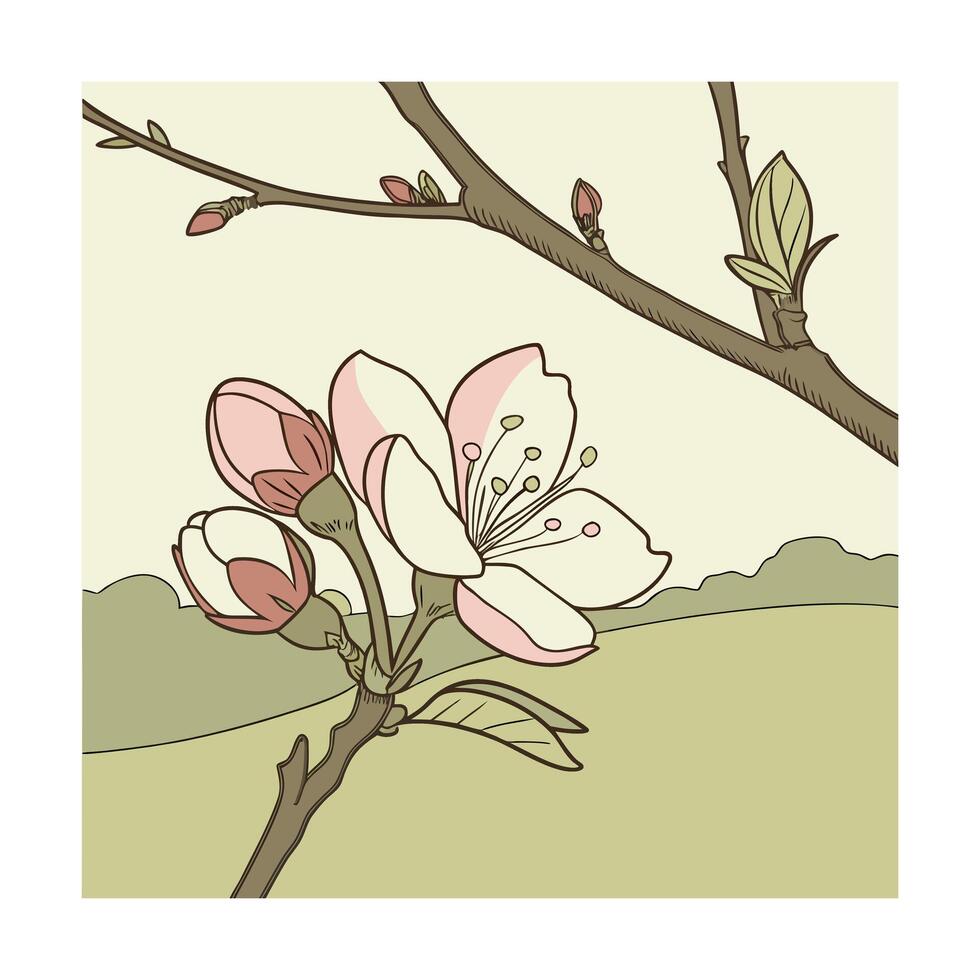 Pink cherry blossom flowers on branches with buds leaves vector