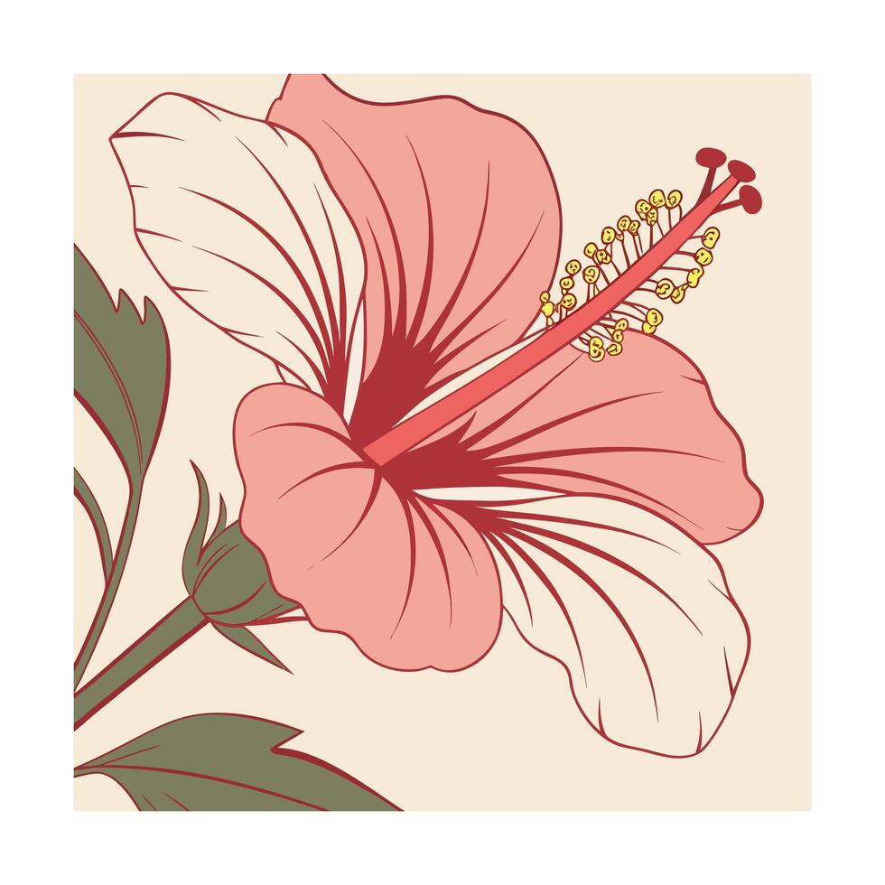 Pink hibiscus flower with green leaves red stamen on cream vector