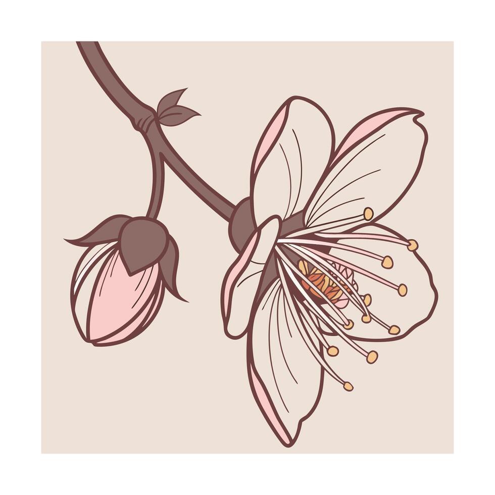 Delicate pink flower with brown stem bud blossom bloom vector