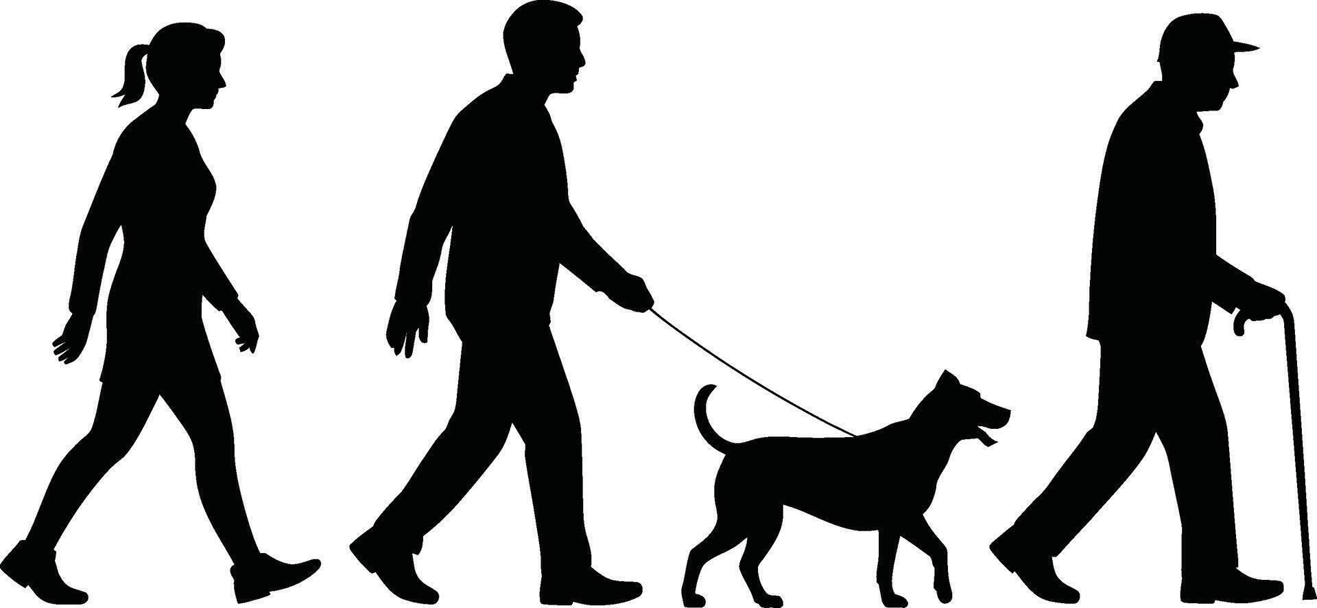 Black silhouettes of people walking a dog and using a cane on white background vector