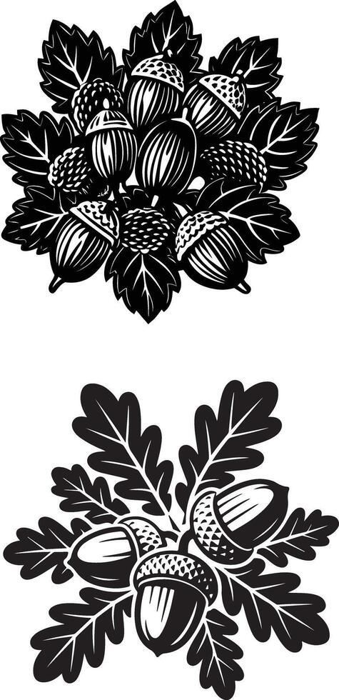 Acorn Cluster silhouette vector