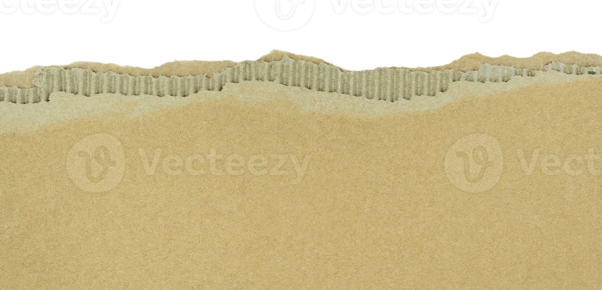 Torn corrugated cardboard paper edge isolated on transparent background png
