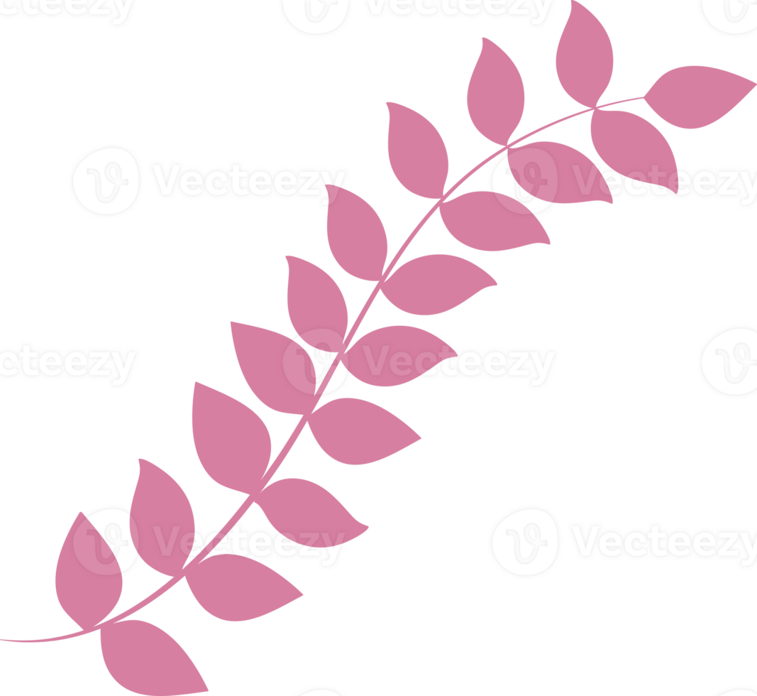 Tropical leaves element png