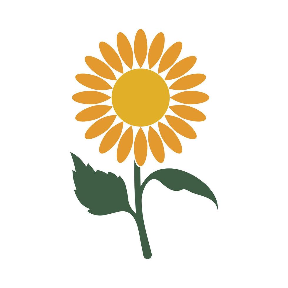 White background illustration featuring a beautiful yellow sunflower with blooming petals, a true symbol of summer nature and floral art vector