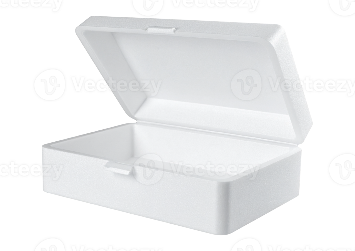 Disposable food container made of foam png