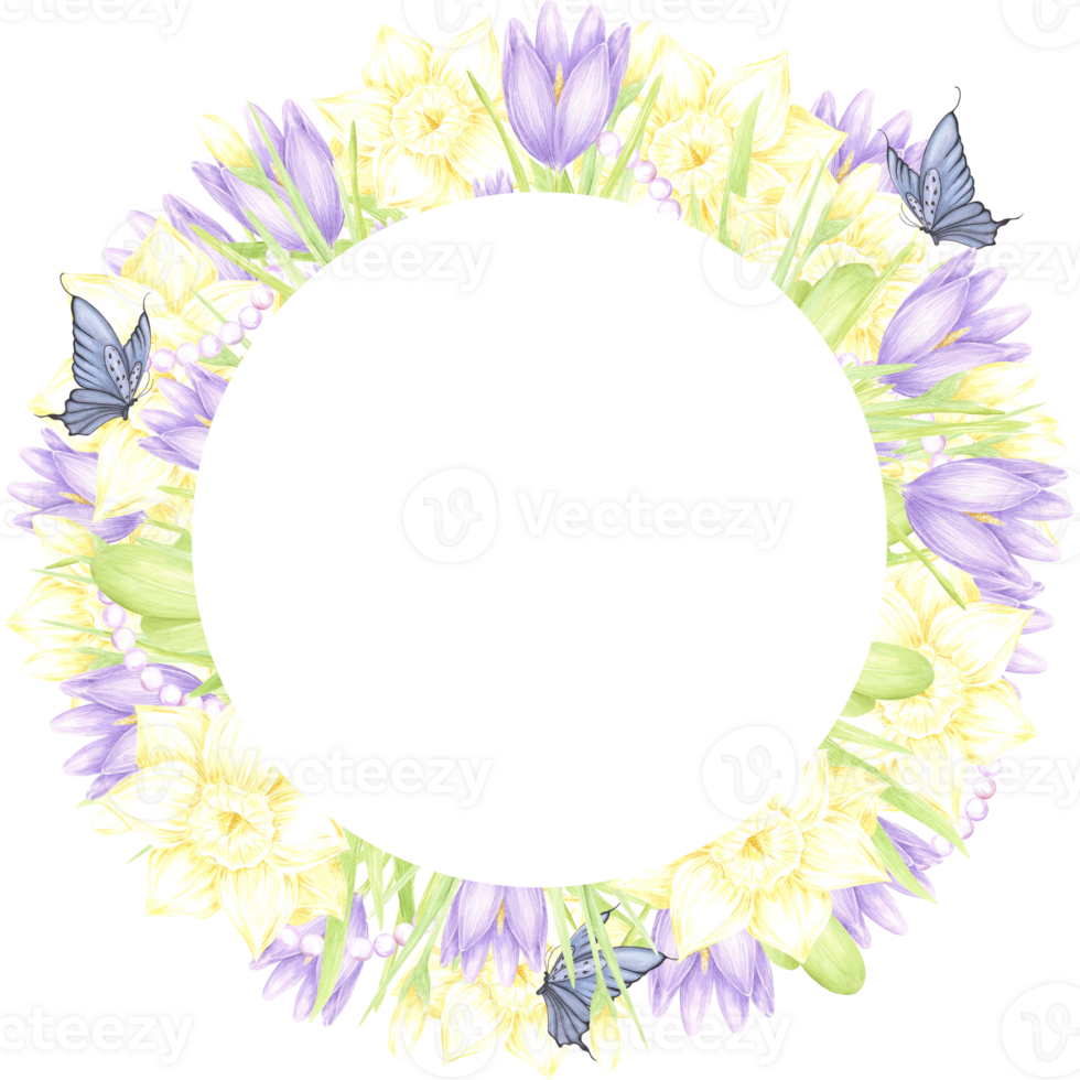 Hand drawn watercolor daffodil and crocus with butterflies and pearls wreath frame border isolated on no background. Can be used for postcard, invitation, scrapbook and other printed products png
