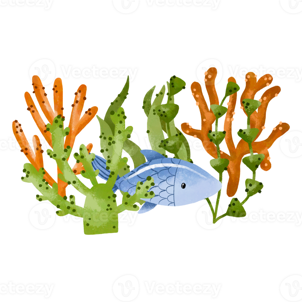 Hand drawn watercolor ocaen fish with algae sea plants. Illustration png